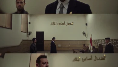 عمرو يوسف