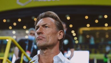 Herve-Renard