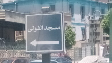الشيخ احمد الفولي بمحافظة المنيا .. كم عمره وعلمه ونسبه وعقيدته 9 IMG20260625104804