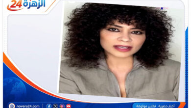 ياسمين المصري من هي وكم عمرها وجنسيتها ومعلومات جديدة عنها 1 ياسمين المصري