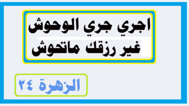أجري جري الوحوش غير رزقك لن تحوش شرح هذا المثل 1 شرح المثل الشعبي اجري جري الوحوش غير رزقك ماتحوش