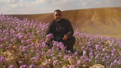 من-هو- المصور-أحمد-العمري-الساطع