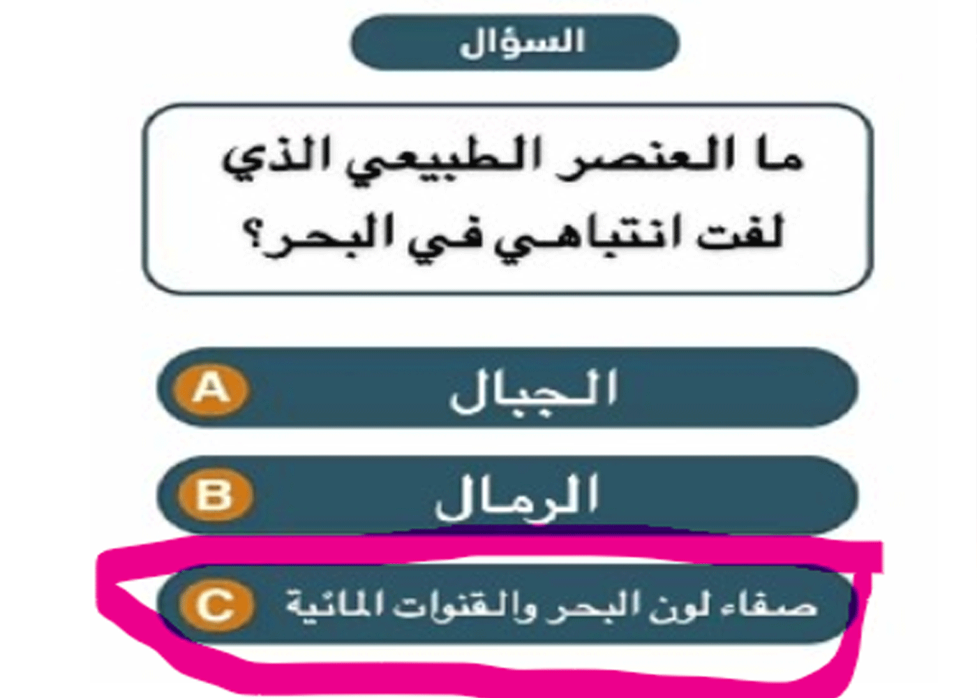 ما هو العنصر الطبيعي الذي لفت انتباهي في البحر؟