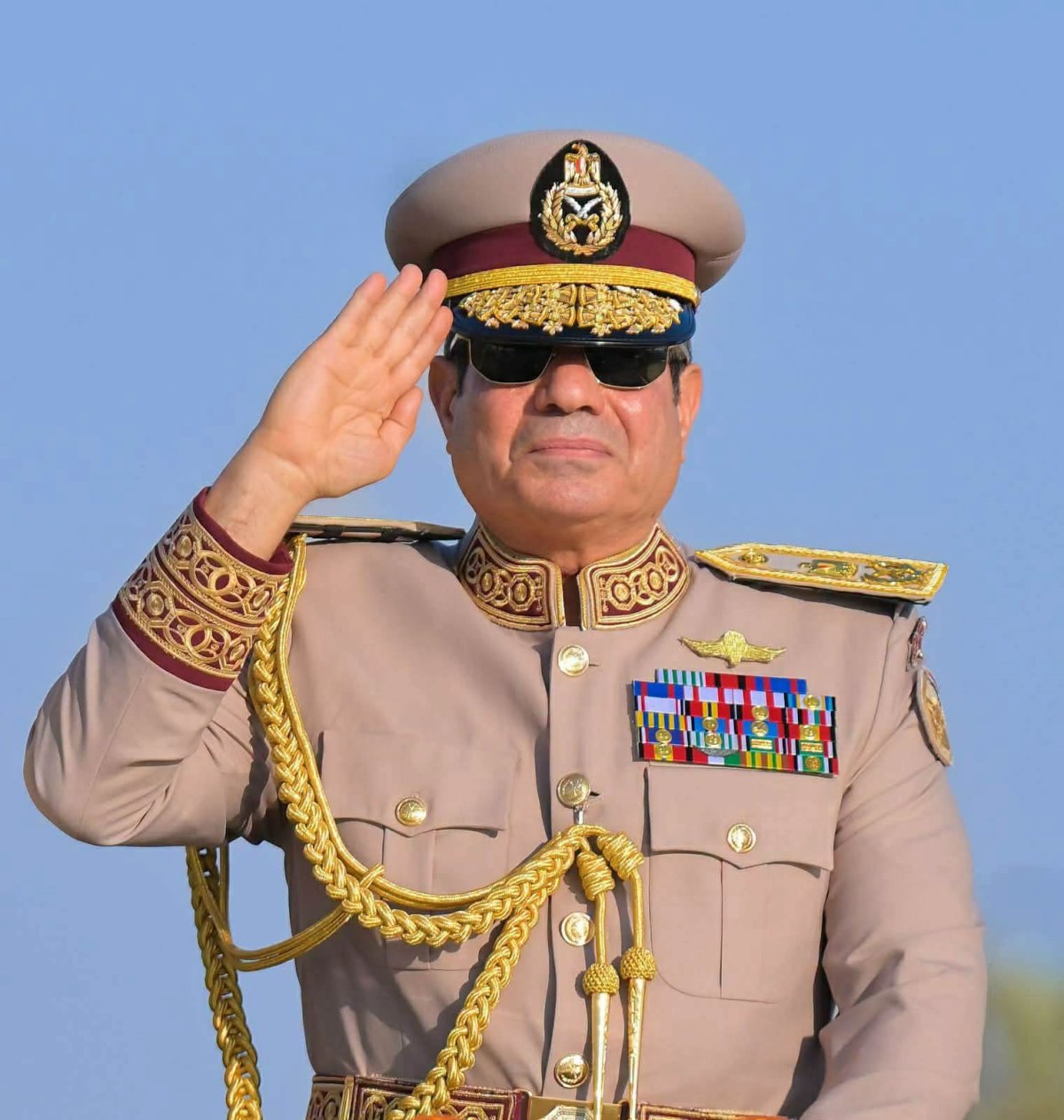 آية السيسي ويكيبيديا.. من هي ومعلومات عنها 4 الرئيس السيسي