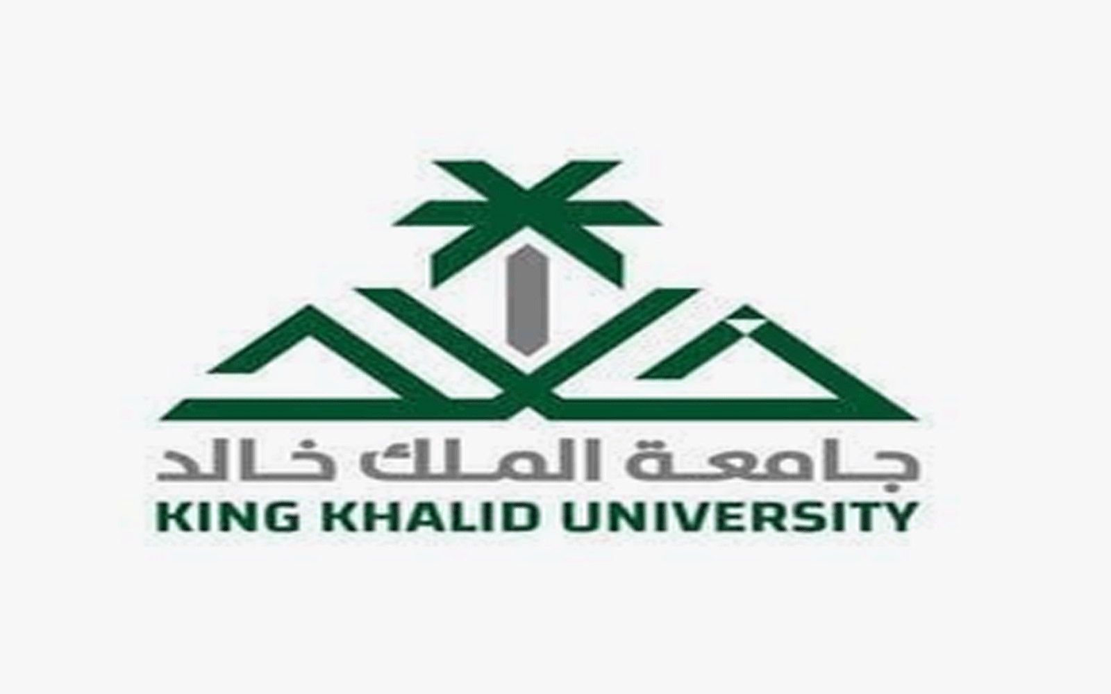 تعليق الدراسة بـ جامعة الملك خالد