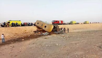 اتوبيس نوبيع دهب اليوم