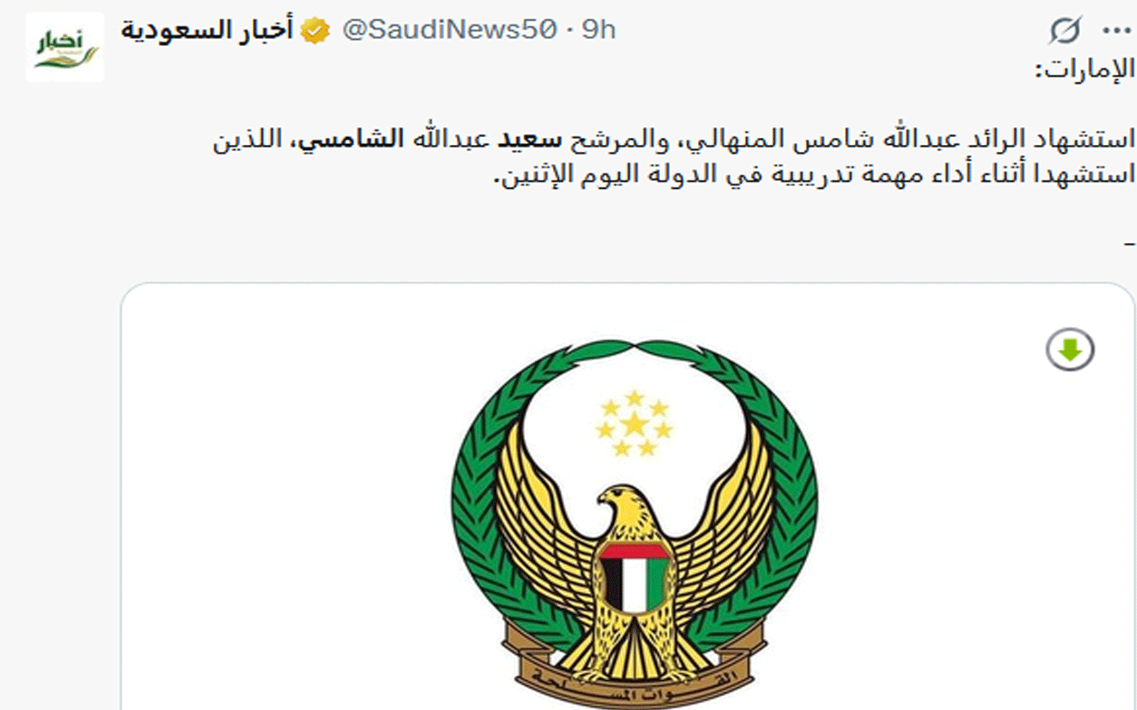 تفاصيل استشهاد عبد الله شمس المنهالي وسعيد عبد الله الشمسي